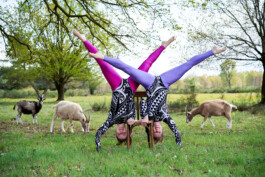 Theaterfotografin Zirkus- & Theaterfotografie, Premierenbilder Berlin