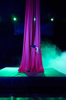 Zirkus-Vertikaltuch-Anne-Barth 